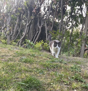 ˁ[̋߂ɗ鎞