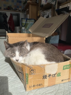 ˂ނ