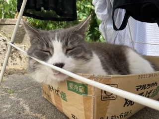 瓖Ƃ