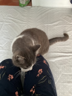 ꒆ