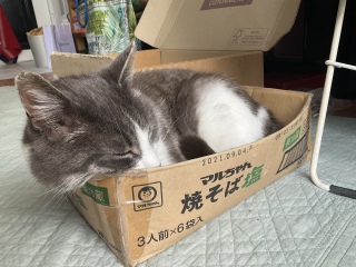 ɂ˂