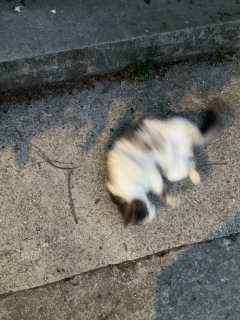 ܁[