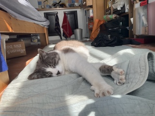 爪も伸びとる