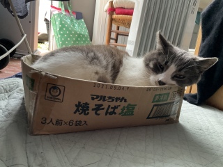 قƂ閡@ĂΉ