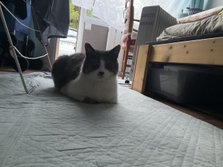 OɂĂԁH