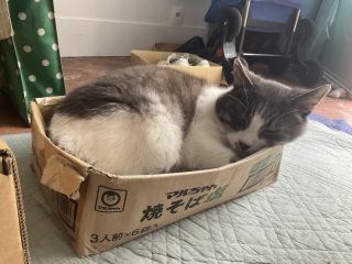 薡Ă