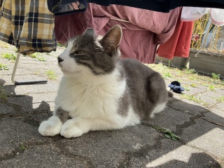 Cɓ̏ꏊ