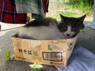 K˂ނ