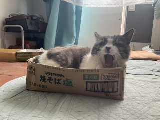 с@