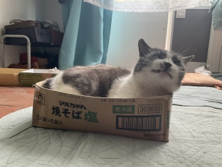 с@O