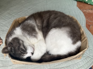 おねむの続き