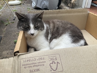 Ȏxbh