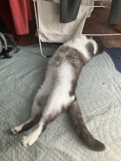 実は？