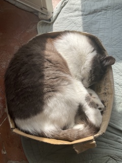 吷ĂΉ