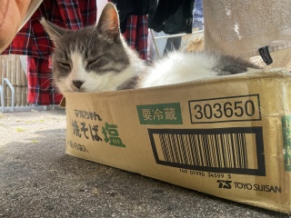 ɉKɂ܂