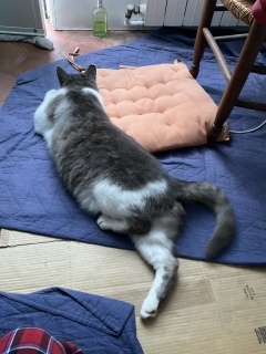 Er̓̐オ