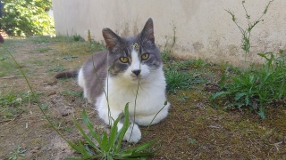 Âȕ\