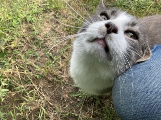 肷@
