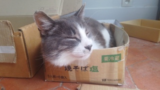 ͂ݏo肳肽