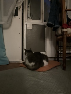 ̂