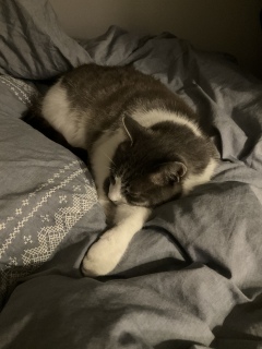 Ƃ˂