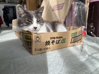 ߂ɏoƂ邼