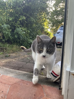 9��15��(��) ���͂悤�L���