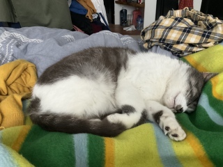 1ԂقǒQ