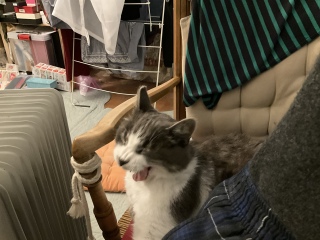 с@