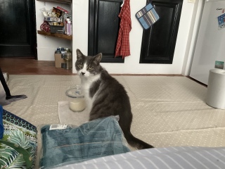 ˁ[^Ƃ