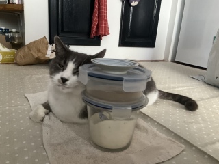 肷