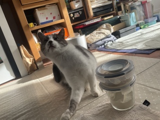 928() ˁ[̏oΎԂł