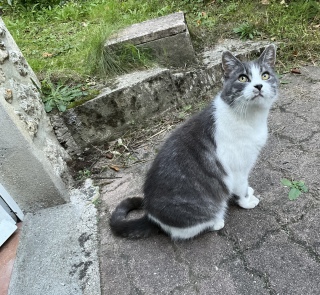 オCɂȂ