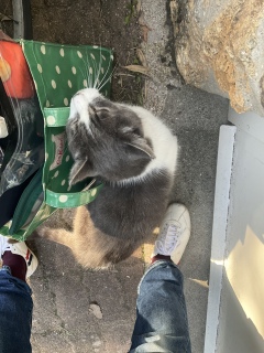 ˁ[͂mÏoΎԂł