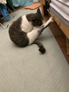 钆̂