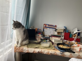 炨
