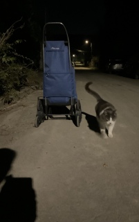 J肪Ƃ