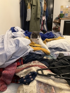 ĂĂ