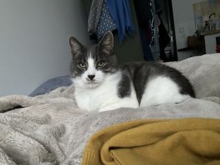 ʂʂȂAו̎󂯎Ɣj~H