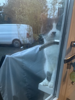 8��20���ł�