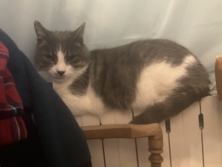 �����������˂�