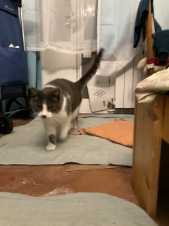 �������܁[