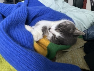 ���̂��ƋN�����Ă����Ă�