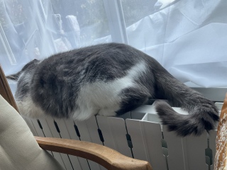 ���Q�̑�����