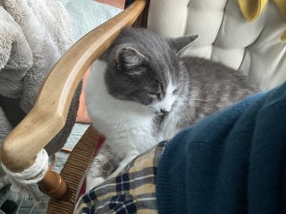 �g�[�̂��֎q