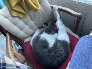 ������ꒆ