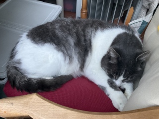 �L���鍑�g��