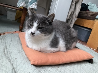 ��������������������