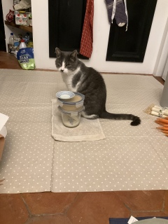 ��������O���ԍݑ�Ζ��̂ˁ[���ł�