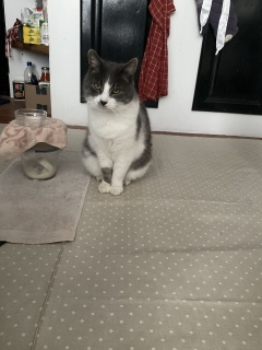 ����ق�����